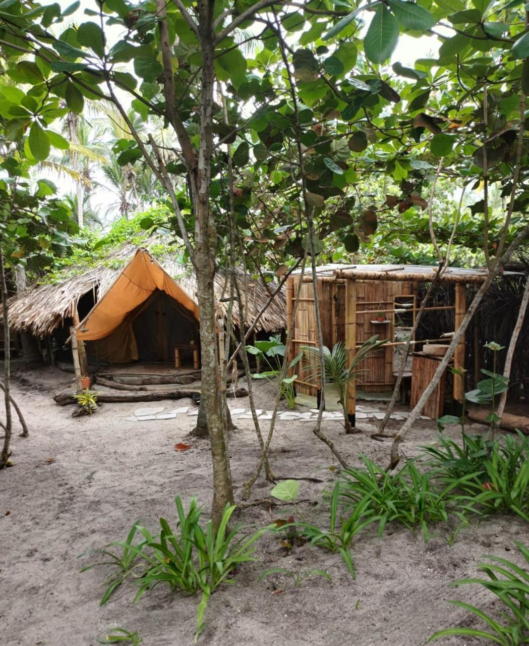 ホテル Lote 10 Glamping Guachaca エクステリア 写真