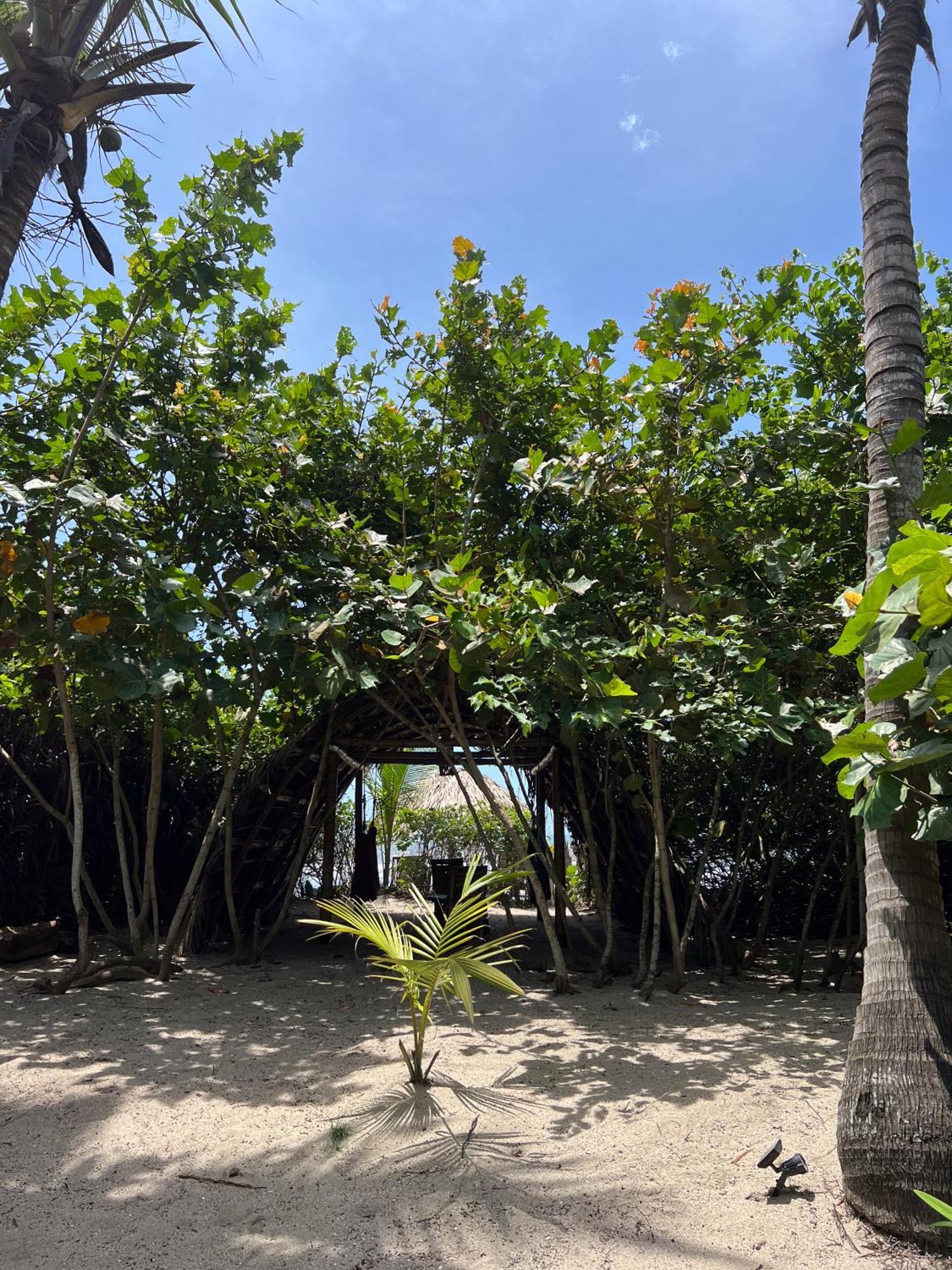 ホテル Lote 10 Glamping Guachaca エクステリア 写真